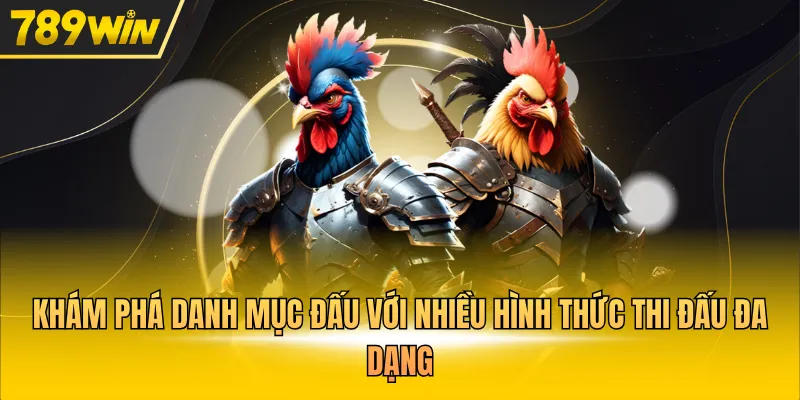 Khám phá danh mục đấu với nhiều hình thức thi đấu đa dạng