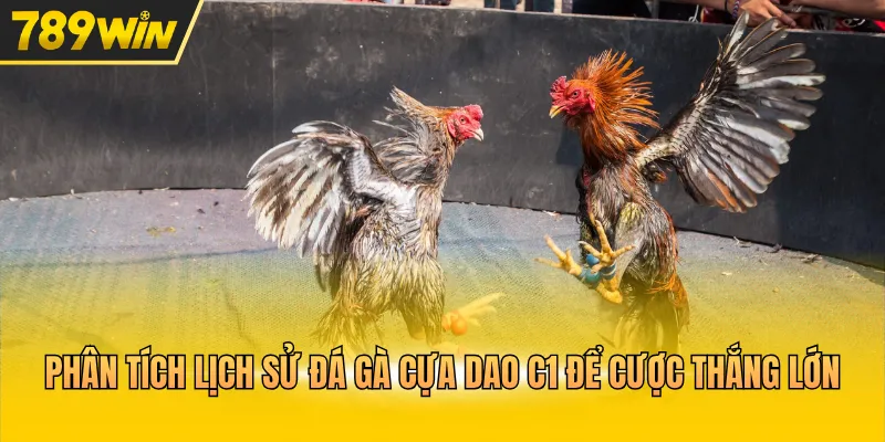 Phân tích lịch sử đá gà cựa dao C1 để cược thắng lớn